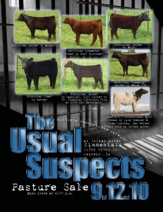 Usual Suspects Pasture Sale 2010