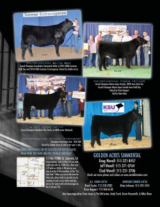 Usual Suspects Pasture Sale 2010