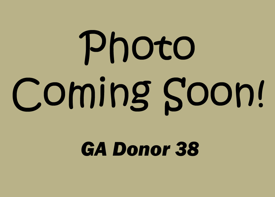 GA Donor 38 GA Donor 38