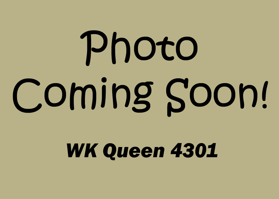 WK Queen 4301 GA Donor 38